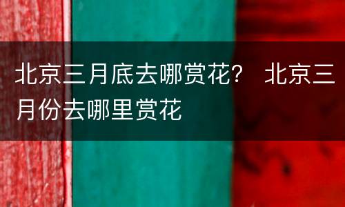 北京三月底去哪赏花？ 北京三月份去哪里赏花