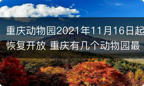 重庆动物园2021年11月16日起恢复开放 重庆有几个动物园最新消息