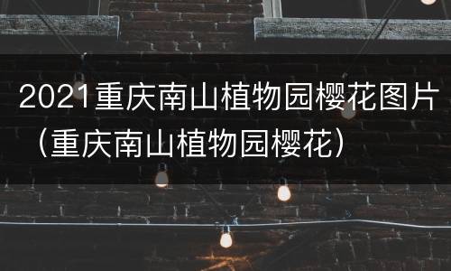 2021重庆南山植物园樱花图片（重庆南山植物园樱花）
