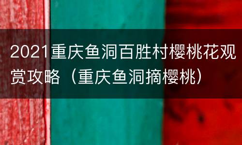 2021重庆鱼洞百胜村樱桃花观赏攻略（重庆鱼洞摘樱桃）
