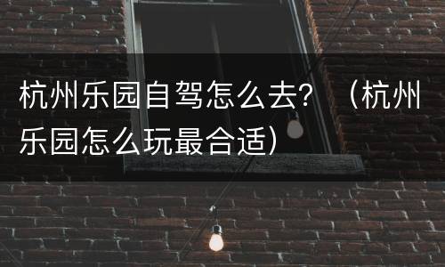 杭州乐园自驾怎么去？（杭州乐园怎么玩最合适）