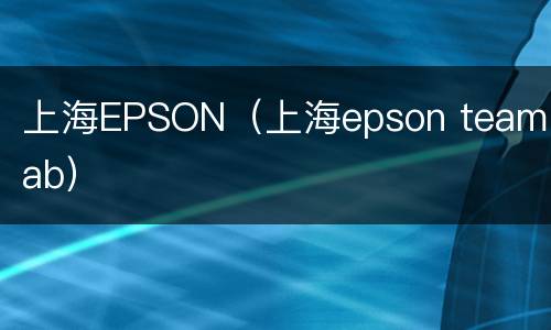 上海EPSON（上海epson teamlab）