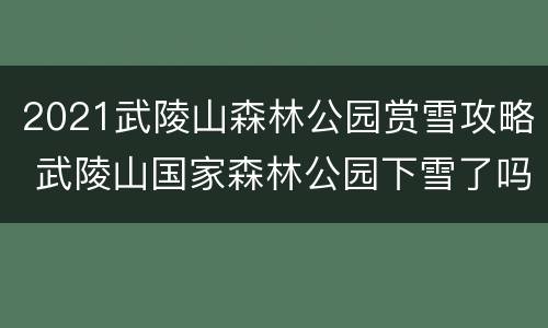 2021武陵山森林公园赏雪攻略 武陵山国家森林公园下雪了吗