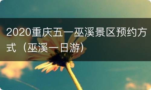 2020重庆五一巫溪景区预约方式（巫溪一日游）