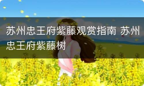 苏州忠王府紫藤观赏指南 苏州忠王府紫藤树