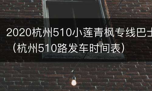 2020杭州510小莲青枫专线巴士（杭州510路发车时间表）