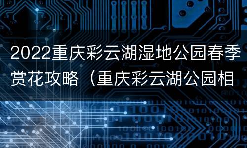 2022重庆彩云湖湿地公园春季赏花攻略（重庆彩云湖公园相关介绍）