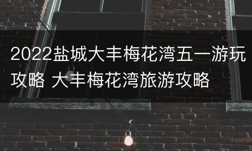 2022盐城大丰梅花湾五一游玩攻略 大丰梅花湾旅游攻略