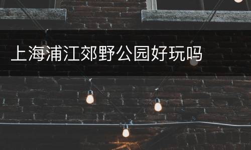 上海浦江郊野公园好玩吗