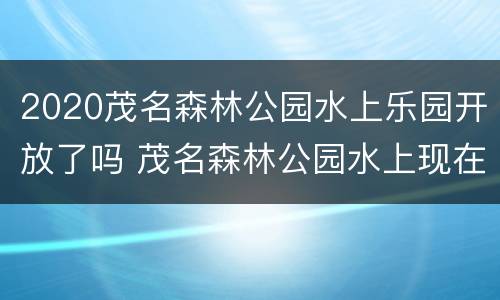 2020茂名森林公园水上乐园开放了吗 茂名森林公园水上现在开放了吗