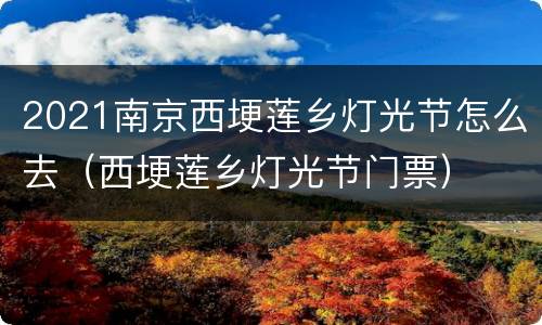 2021南京西埂莲乡灯光节怎么去（西埂莲乡灯光节门票）