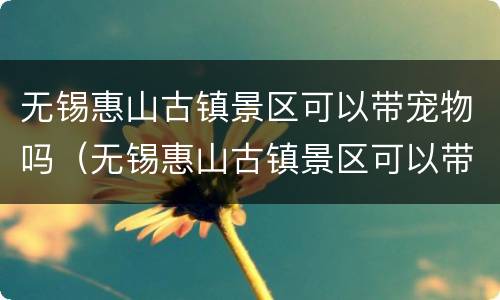 无锡惠山古镇景区可以带宠物吗（无锡惠山古镇景区可以带宠物吗现在）