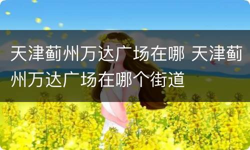 天津蓟州万达广场在哪 天津蓟州万达广场在哪个街道