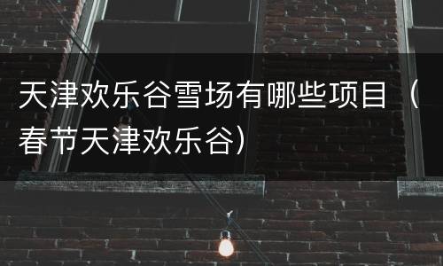 天津欢乐谷雪场有哪些项目（春节天津欢乐谷）