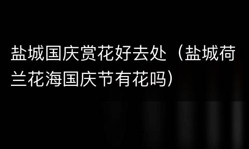 盐城国庆赏花好去处（盐城荷兰花海国庆节有花吗）