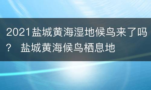 2021盐城黄海湿地候鸟来了吗？ 盐城黄海候鸟栖息地