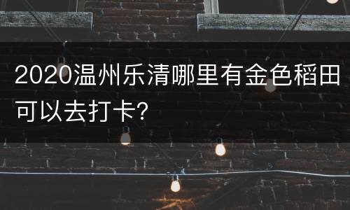 2020温州乐清哪里有金色稻田可以去打卡？
