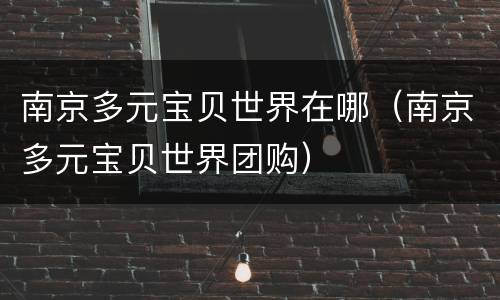 南京多元宝贝世界在哪（南京多元宝贝世界团购）