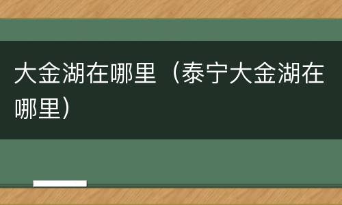 大金湖在哪里（泰宁大金湖在哪里）