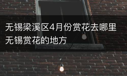 无锡梁溪区4月份赏花去哪里 无锡赏花的地方