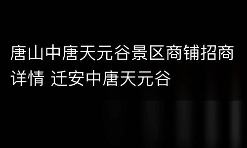 唐山中唐天元谷景区商铺招商详情 迁安中唐天元谷