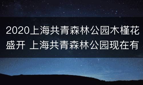 2020上海共青森林公园木槿花盛开 上海共青森林公园现在有什么花