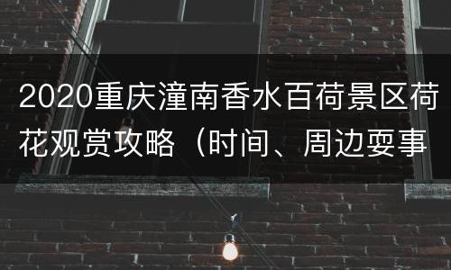 2020重庆潼南香水百荷景区荷花观赏攻略（时间、周边耍事）