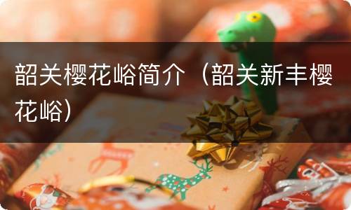 韶关樱花峪简介（韶关新丰樱花峪）