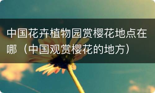 中国花卉植物园赏樱花地点在哪（中国观赏樱花的地方）
