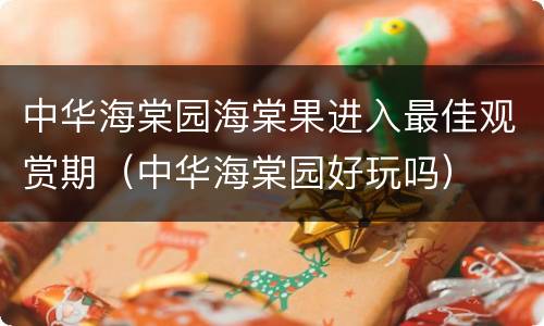 中华海棠园海棠果进入最佳观赏期（中华海棠园好玩吗）