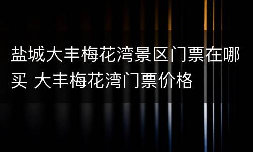 盐城大丰梅花湾景区门票在哪买 大丰梅花湾门票价格
