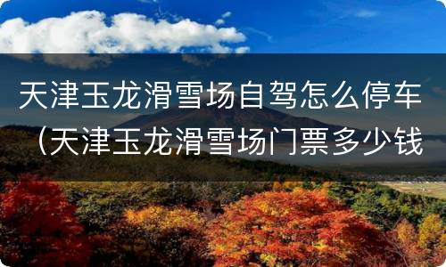 天津玉龙滑雪场自驾怎么停车（天津玉龙滑雪场门票多少钱）