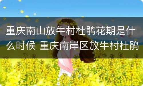 重庆南山放牛村杜鹃花期是什么时候 重庆南岸区放牛村杜鹃花观赏攻略