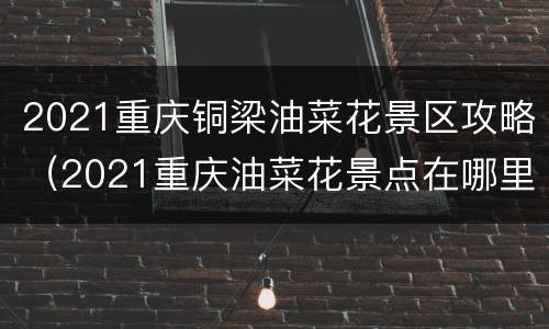 2021重庆铜梁油菜花景区攻略（2021重庆油菜花景点在哪里）