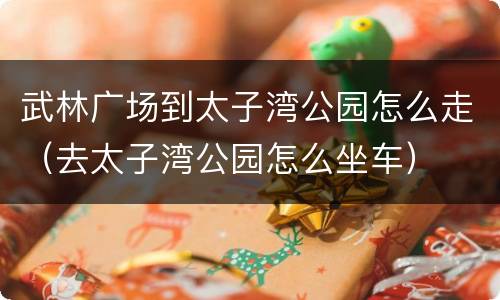 武林广场到太子湾公园怎么走（去太子湾公园怎么坐车）
