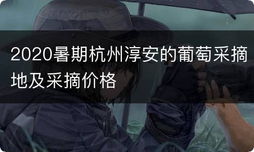 2020暑期杭州淳安的葡萄采摘地及采摘价格