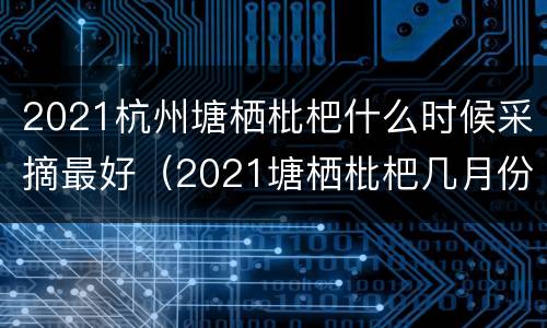 2021杭州塘栖枇杷什么时候采摘最好（2021塘栖枇杷几月份成熟）