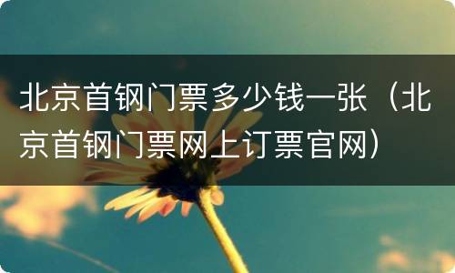 北京首钢门票多少钱一张（北京首钢门票网上订票官网）