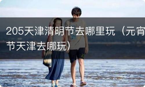 205天津清明节去哪里玩（元宵节天津去哪玩）