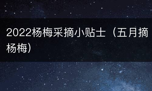 2022杨梅采摘小贴士（五月摘杨梅）