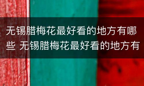 无锡腊梅花最好看的地方有哪些 无锡腊梅花最好看的地方有哪些图片