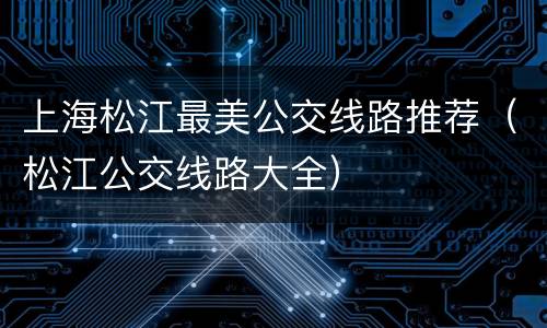 上海松江最美公交线路推荐（松江公交线路大全）