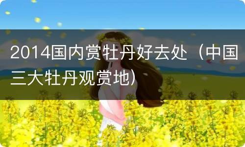 2014国内赏牡丹好去处（中国三大牡丹观赏地）