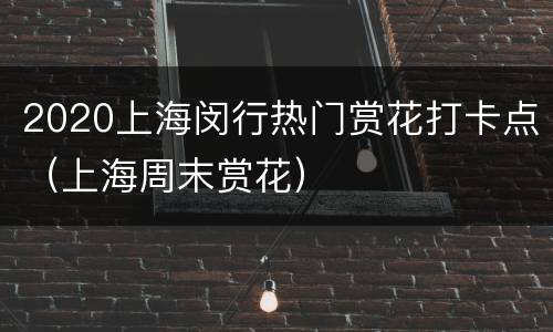 2020上海闵行热门赏花打卡点（上海周末赏花）