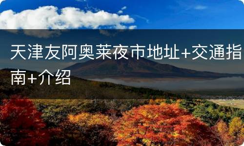 天津友阿奥莱夜市地址+交通指南+介绍