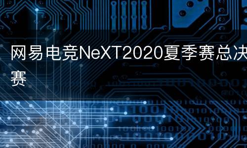 网易电竞NeXT2020夏季赛总决赛