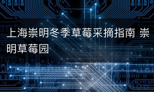 上海崇明冬季草莓采摘指南 崇明草莓园