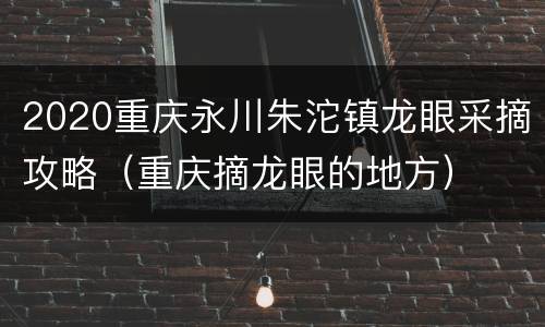 2020重庆永川朱沱镇龙眼采摘攻略（重庆摘龙眼的地方）