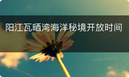 阳江瓦晒湾海洋秘境开放时间
