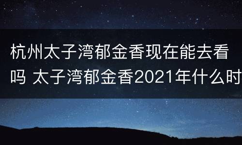 杭州太子湾郁金香现在能去看吗 太子湾郁金香2021年什么时候结束